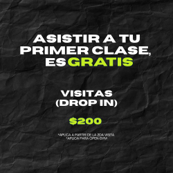 VISITAS